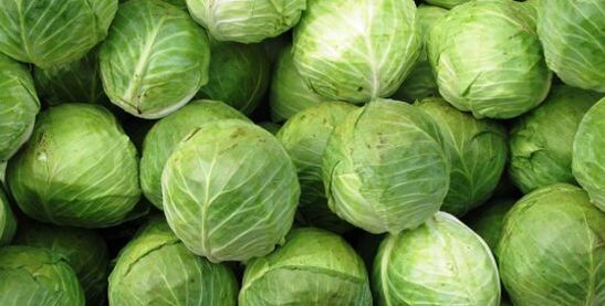 zelje za obkladek pri artrozi kolena